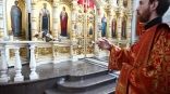 Иллюстрация к материалу Иллюстрация к материалу