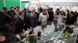 Иллюстрация к материалу Иллюстрация к материалу
