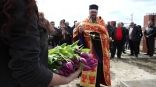 Иллюстрация к материалу Иллюстрация к материалу