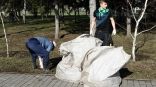 Иллюстрация к материалу Иллюстрация к материалу
