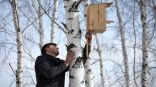 Иллюстрация к материалу Иллюстрация к материалу