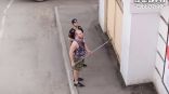 Иллюстрация к материалу Иллюстрация к материалу