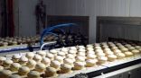 Иллюстрация к материалу Иллюстрация к материалу