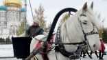 Иллюстрация к материалу Иллюстрация к материалу