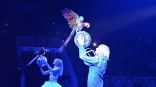 Иллюстрация к материалу Иллюстрация к материалу