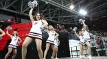Иллюстрация к материалу Иллюстрация к материалу