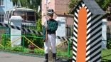Иллюстрация к материалу Иллюстрация к материалу
