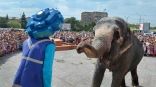 Иллюстрация к материалу Иллюстрация к материалу
