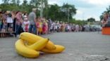 Иллюстрация к материалу Иллюстрация к материалу