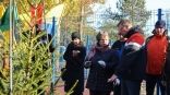 Иллюстрация к материалу Иллюстрация к материалу