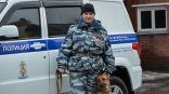 Иллюстрация к материалу Иллюстрация к материалу
