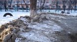 Иллюстрация к материалу Иллюстрация к материалу