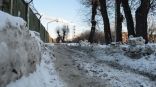 Иллюстрация к материалу Иллюстрация к материалу