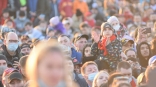 Иллюстрация к материалу Иллюстрация к материалу