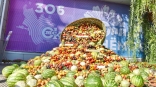 Иллюстрация к материалу Иллюстрация к материалу