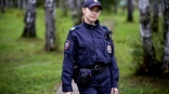 Иллюстрация к материалу Иллюстрация к материалу