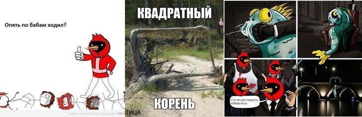 Омск «ВКонтакте» в 2013 году: мемы, комиксы и резонансные новости Омск «ВКонтакте» в 2013 году: мемы, комиксы и резонансные новости