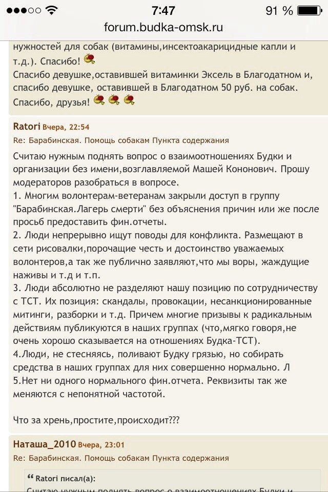 Омские зоозащитники сцепились друг с другом из-за приюта на Барабинской