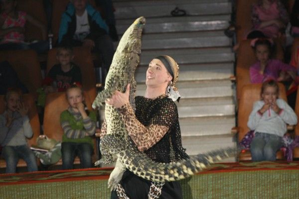 Гигантские белые носороги, леопарды и кенгуру-боксер ждут омичей в «джунглях» цирка «Сафари» Гигантские белые носороги, леопарды и кенгуру-боксер ждут омичей в «джунглях» цирка «Сафари»