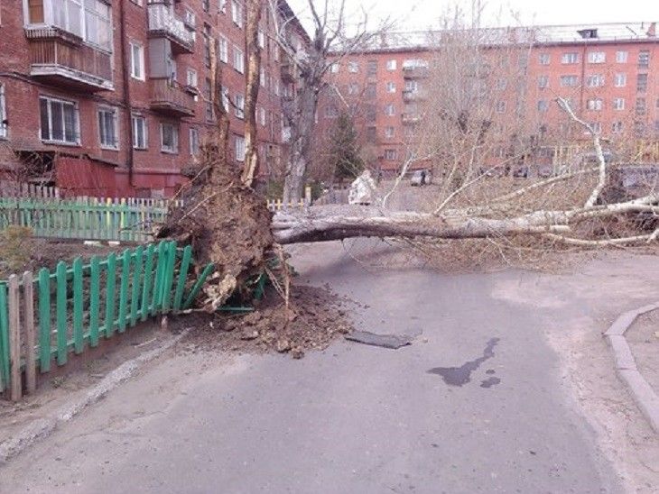 Двораковский распорядился мобилизовать горожан на расчистку Омска от последствий урагана Двораковский распорядился мобилизовать горожан на расчистку Омска от последствий урагана