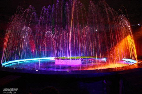 Единственный в мире аттракцион с гепардами ждет омичей в цирке «Остров грез» Единственный в мире аттракцион с гепардами ждет омичей в цирке «Остров грез»