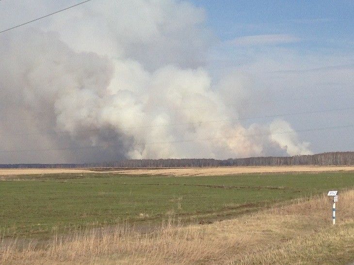 Под Омском горят леса Под Омском горят леса