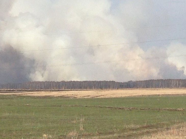Под Омском горят леса Под Омском горят леса
