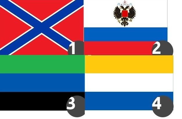 В Донбассе и Луганске выбирают флаг будущего государства Новороссии В Донбассе и Луганске выбирают флаг будущего государства Новороссии
