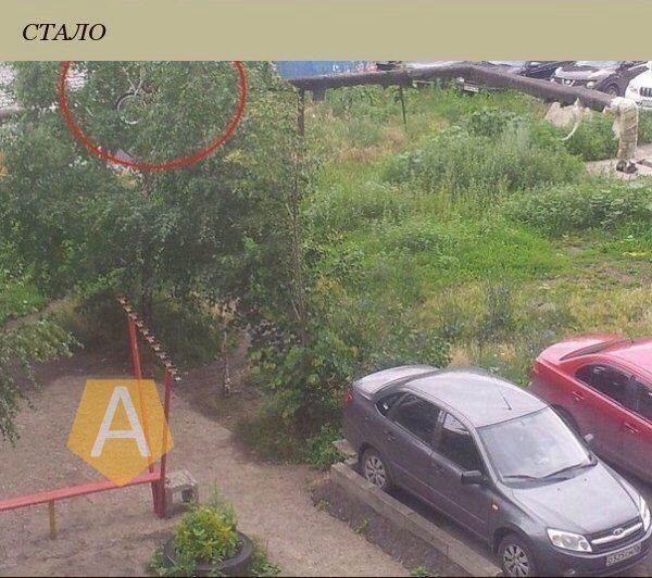 Автомобилист забросил чужой велосипед на дерево из-за места на парковке Автомобилист забросил чужой велосипед на дерево из-за места на парковке