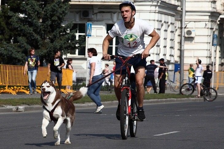 День города-2014 в Омске: хроники праздника День города-2014 в Омске: хроники праздника