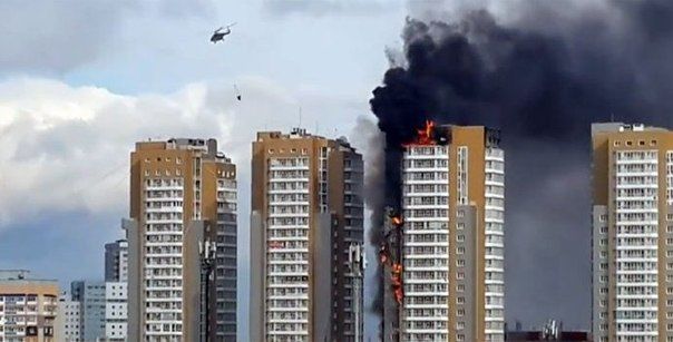 Картина дня в Сибири: в Стрежевом медведь совершил нападение возле аэропорта, в Новосибирске стало понятно, что губернатора уволили за коррупцию, а Красноярск приходит в себя после пожара в небоскребе Картина дня в Сибири: в Стрежевом медведь совершил нападение возле аэропорта, в Новосибирске стало понятно, что губернатора уволили за коррупцию, а Красноярск приходит в себя после пожара в небоскребе