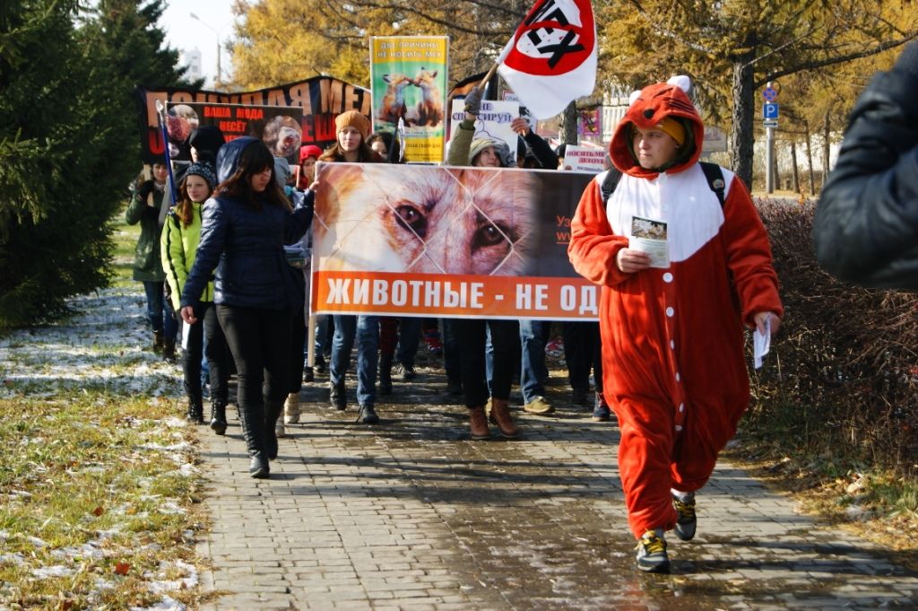 Организаторы антимехового марша одели омичку в окровавленную шубу и вышли с плакатами: «Животные не одежда» Организаторы антимехового марша одели омичку в окровавленную шубу и вышли с плакатами: «Животные не одежда»