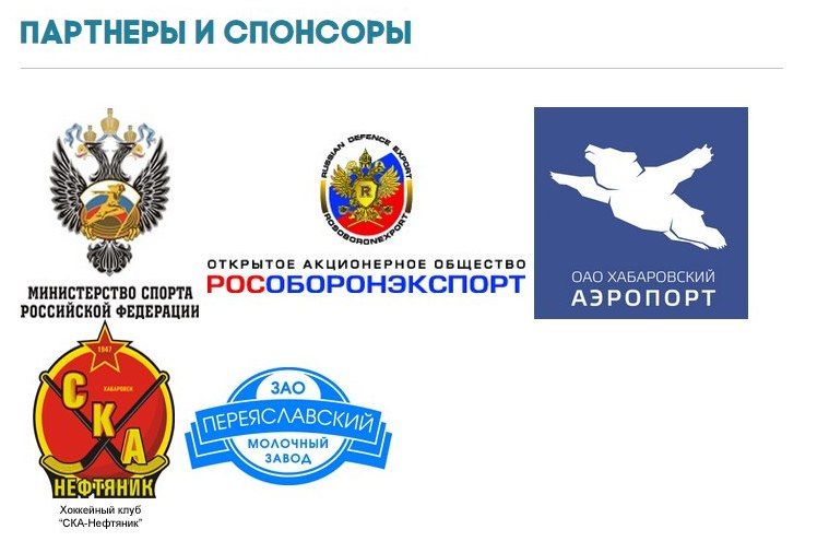 Логотип хабаровского аэропорта с летящим медведем «взорвал» Интернет Логотип хабаровского аэропорта с летящим медведем «взорвал» Интернет
