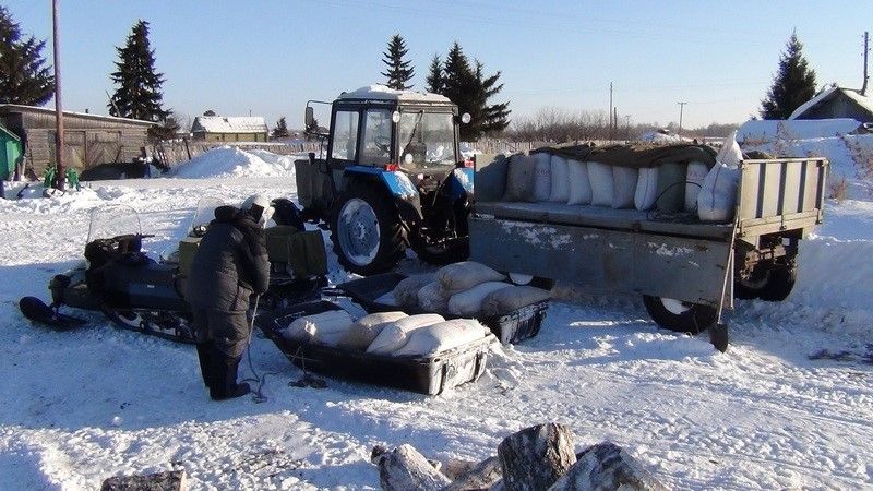 Губернатор приказал срочно накормить увязающих в снегу лосей и кабанов Губернатор приказал срочно накормить увязающих в снегу лосей и кабанов