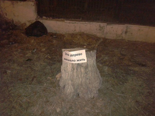 «Это дерево могло бы жить»: в Омске неизвестные устроили экологическую акцию в защиту деревьев «Это дерево могло бы жить»: в Омске неизвестные устроили экологическую акцию в защиту деревьев