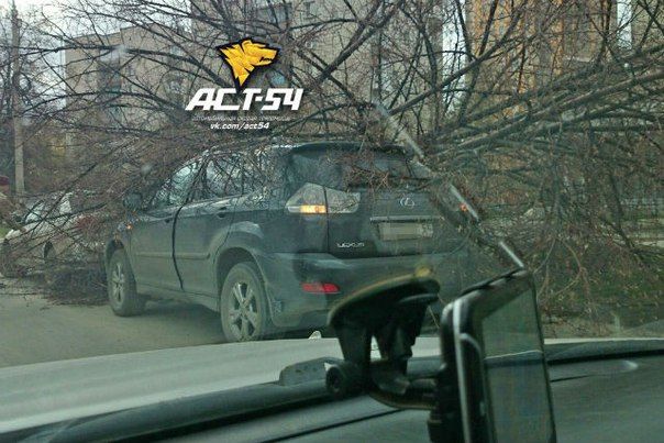 В Новосибирске из-за урагана пострадали две женщины В Новосибирске из-за урагана пострадали две женщины