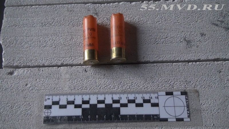 Житель Чукреевки устроил стрельбу из окна своего коттеджа Житель Чукреевки устроил стрельбу из окна своего коттеджа
