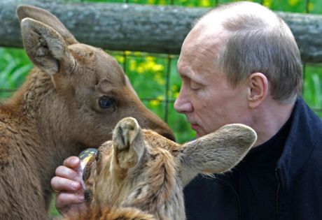 Памела Андерсон понадеялась на Владимира Путина Памела Андерсон понадеялась на Владимира Путина