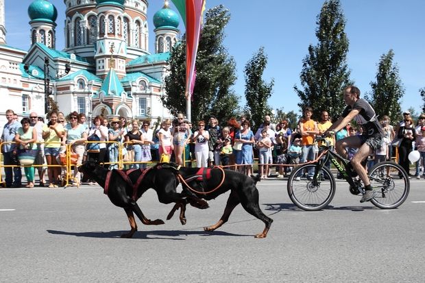 День города-2015 в Омске: хроники праздника День города-2015 в Омске: хроники праздника