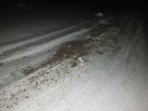 «Карты, деньги, два ствола»: в Омской области задержали мужчин на самодельном «тарантасе» с мешком наркотиков