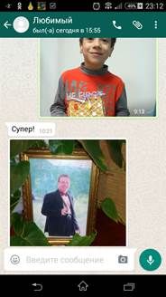 За что семьи любят WhatsApp?