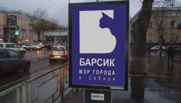 Вице-спикер Госдумы Исаев прокомментировал перспективы выдвижения кота Барсика в парламент Вице-спикер Госдумы Исаев прокомментировал перспективы выдвижения кота Барсика в парламент