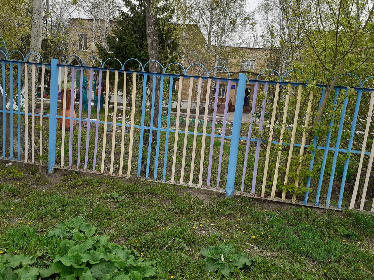 Фитосанитарный контроль заявил о нарушениях в хранении каш в омском детском саду Фитосанитарный контроль заявил о нарушениях в хранении каш в омском детском саду