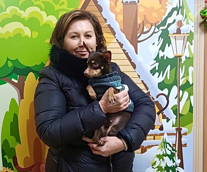 Той-терьер Буся без глаза из омского приюта в Новый год нашла свою семью и друга Той-терьер Буся без глаза из омского приюта в Новый год нашла свою семью и друга