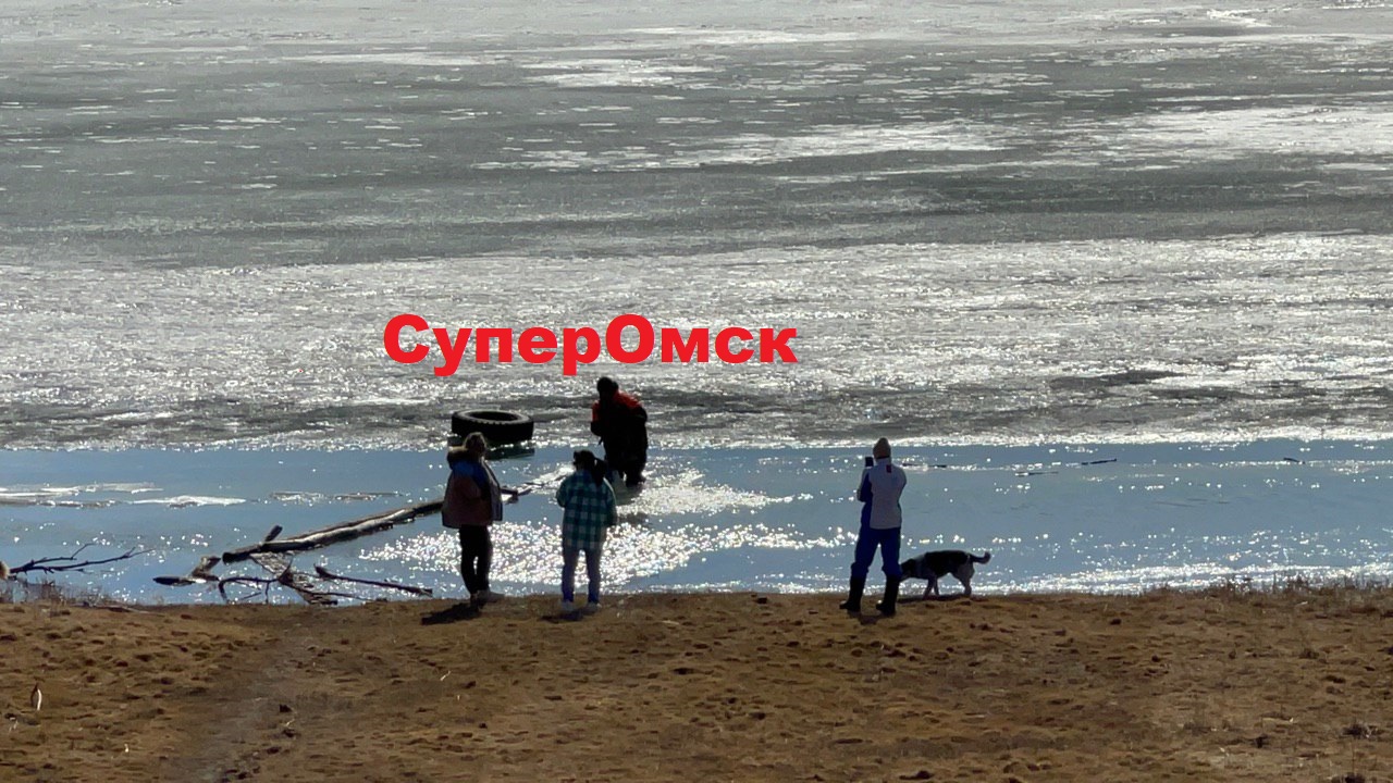 Собаку спасли из ледяного плена на берегу Иртыша в Омске Собаку спасли из ледяного плена на берегу Иртыша в Омске