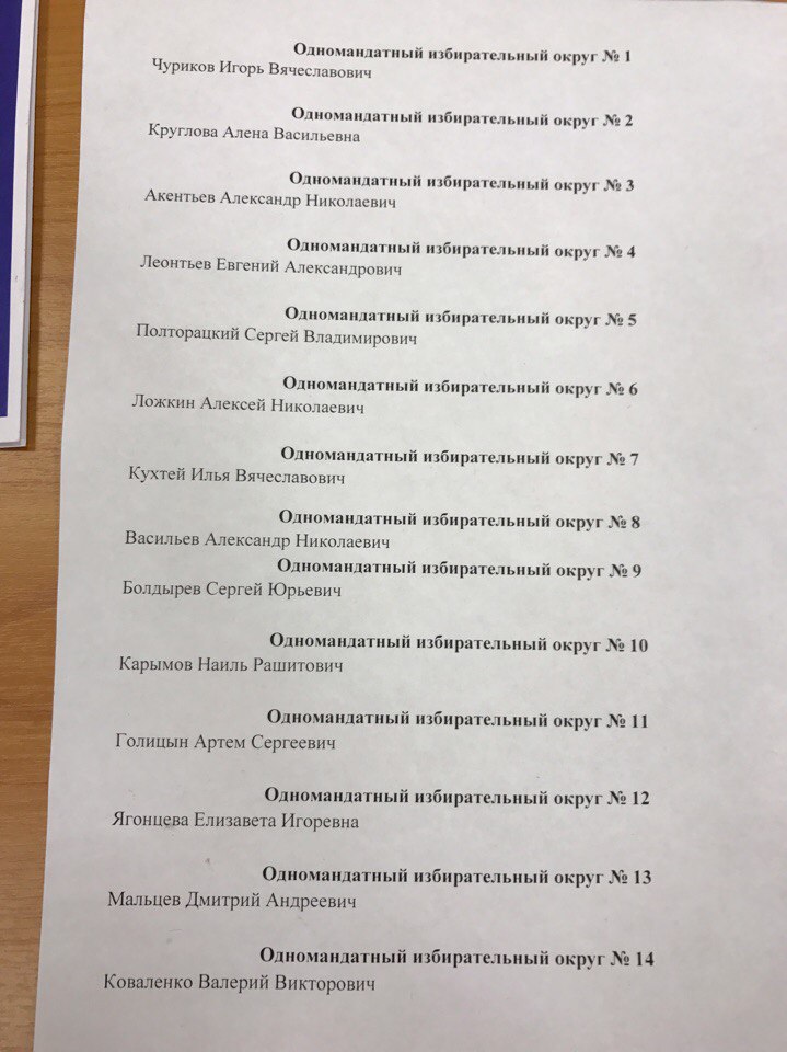 Новый лидер омских либерал-демократов назвал кандидатов в горсовет