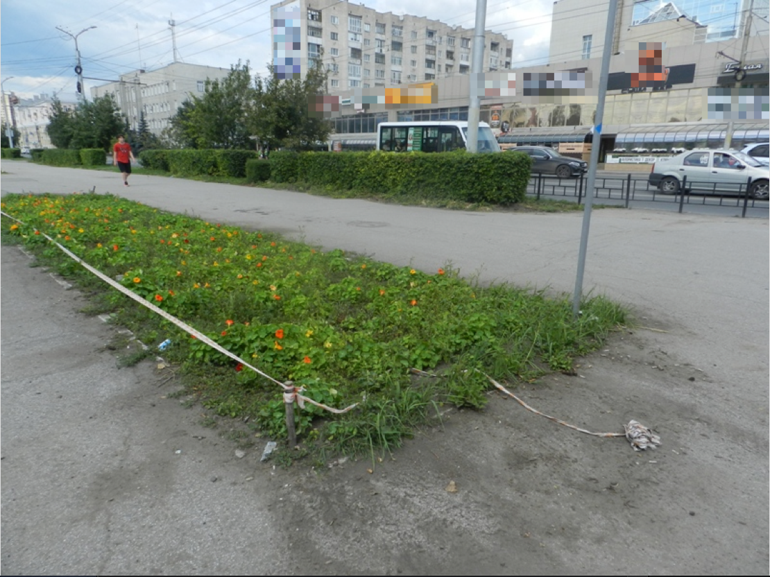 Городской сад в центре Омска: забытая комната в квартире с ремонтом за сотни миллионов рублей