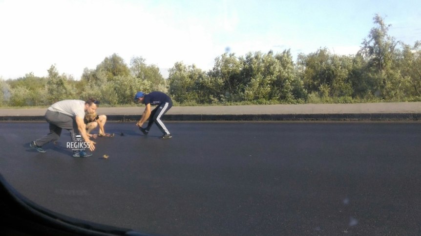 Около парка Победы омичи помогли утятам перейти дорогу Около парка Победы омичи помогли утятам перейти дорогу