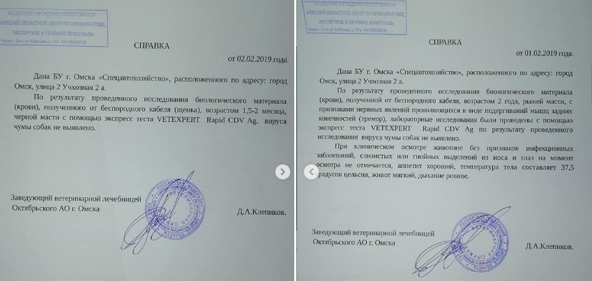Омску угрожает вспышка смертоносной чумы?