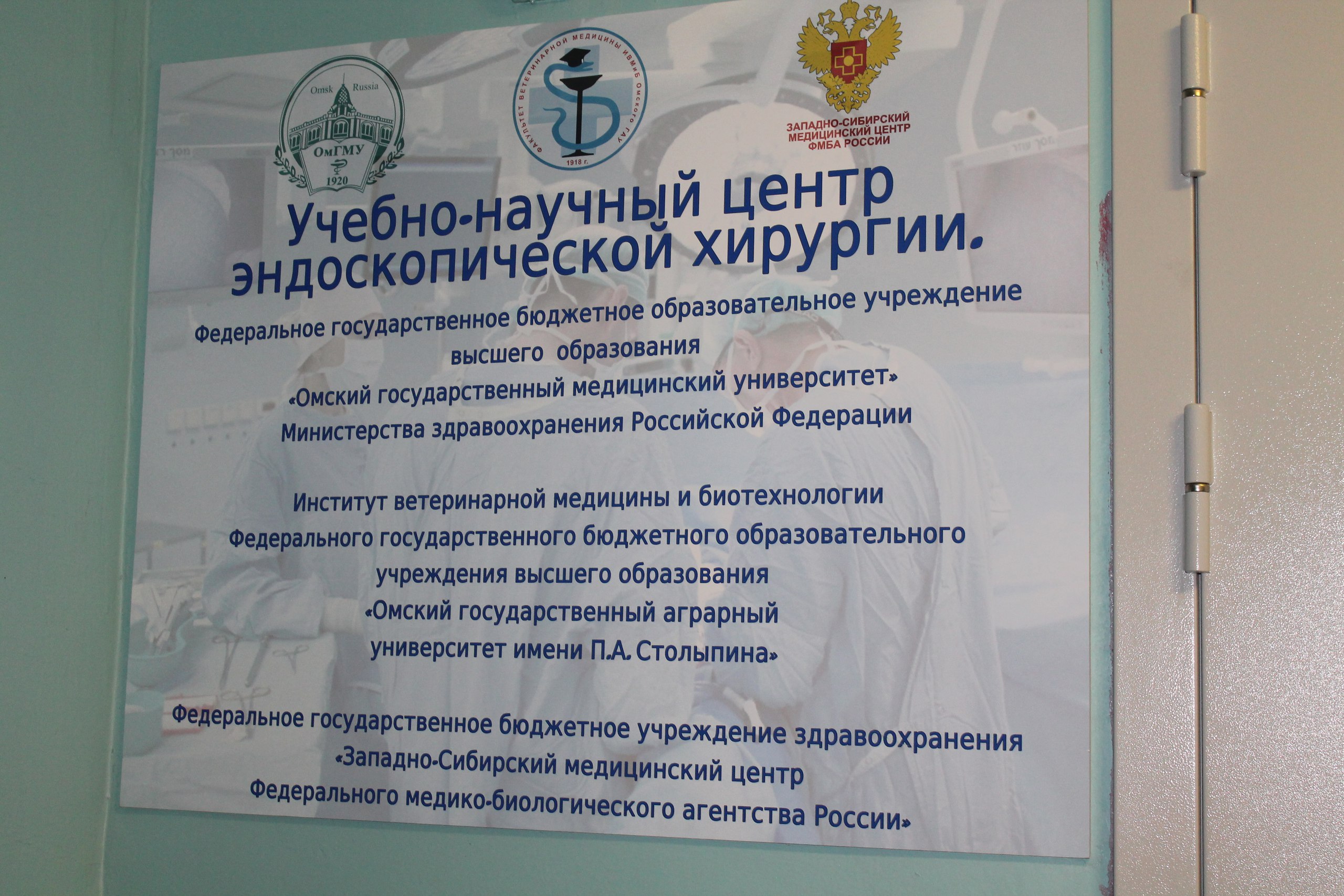 Омских хирургов подготовят к операциям с помощью животных Омских хирургов подготовят к операциям с помощью животных